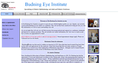 Desktop Screenshot of budning.com