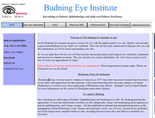 Tablet Screenshot of budning.com